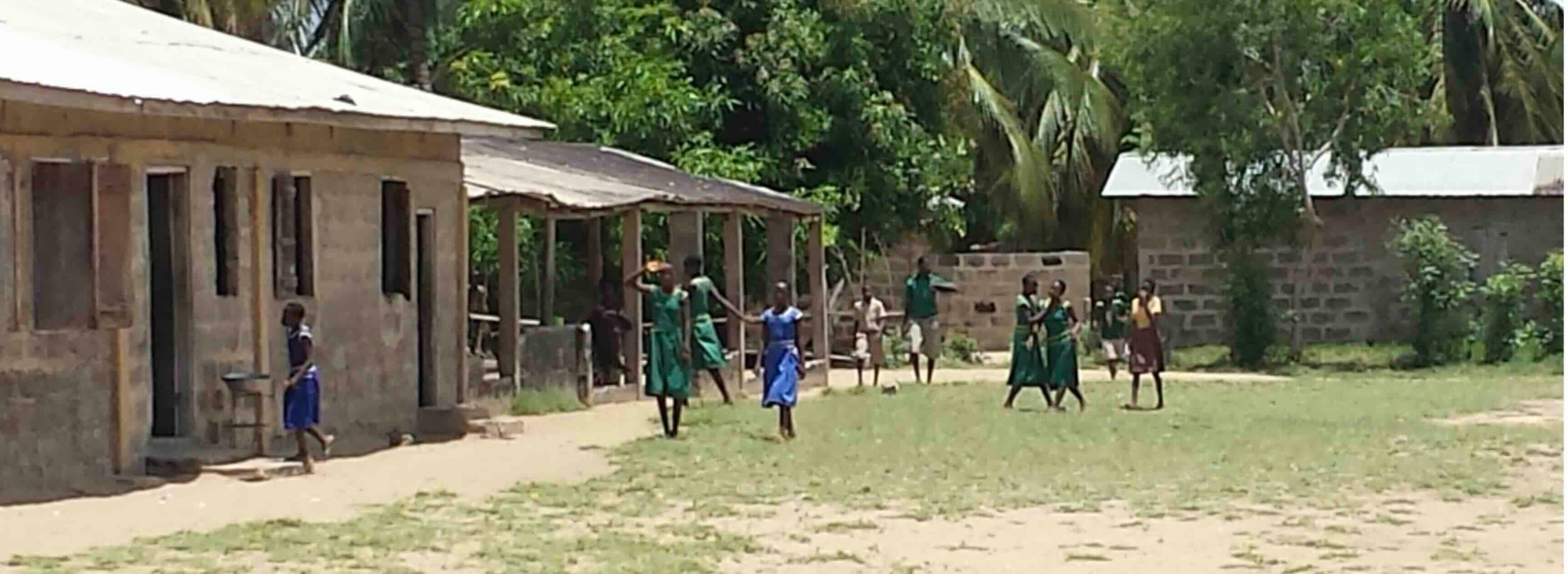 Contact Srohume American Alliance